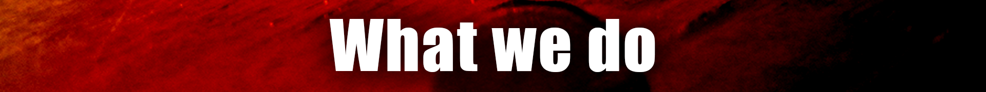 wd